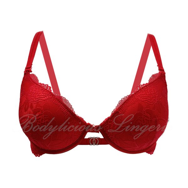 Floral Lace Underwired Padded Bras