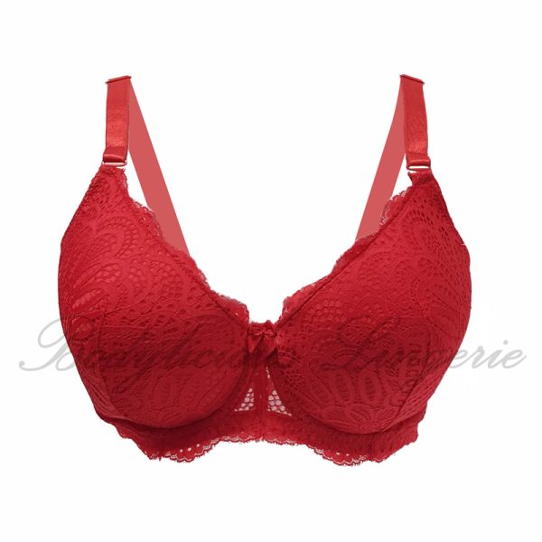 Plus Size Underwired Lightly Padded Bra