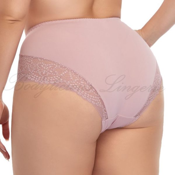 Plus Size Nylon Comfort Brief With Lace