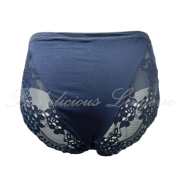 Plus Size Full Lace Brief