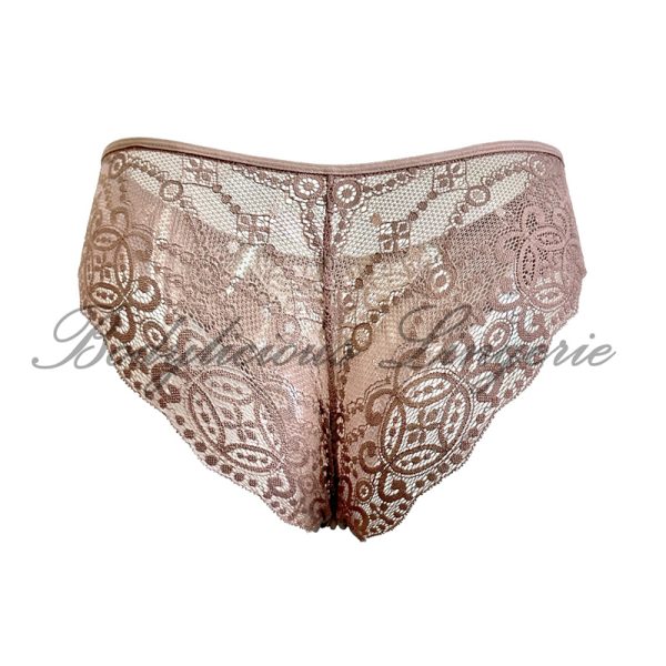 Classic ladies briefs tulle lace back